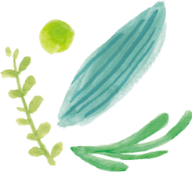 花のイラスト